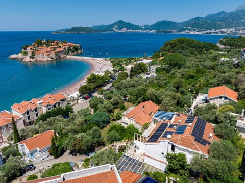 Sun Rose Apartments Sveti Stefan Condo in Sveti Stefan