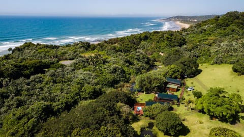 Natural landscape, Bird's eye view, Garden, Beach, Sea view