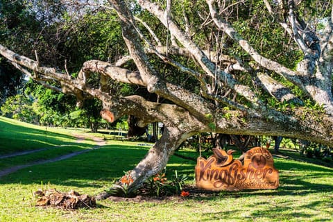 Kingfisher Lakeside Retreat Luxus-Zelt in KwaZulu-Natal