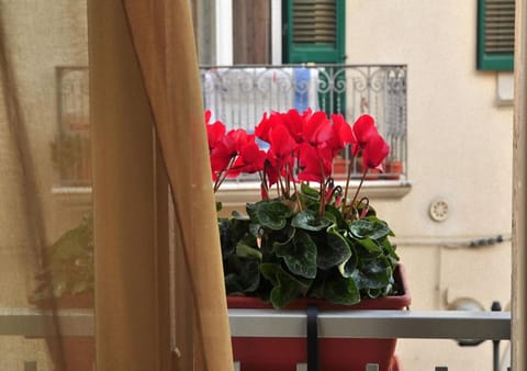 B&B Donna Eleonora Bed and Breakfast in Matera