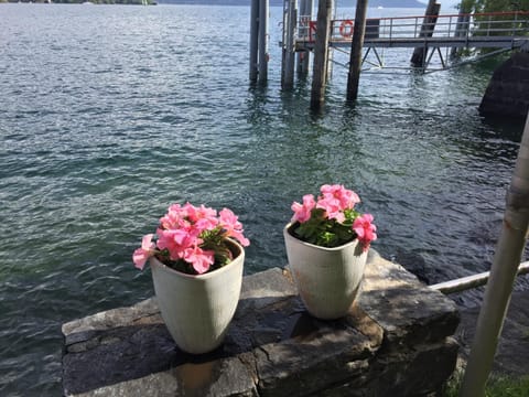 Spring, Garden, Lake view