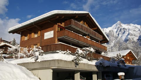 Facade/entrance, Winter