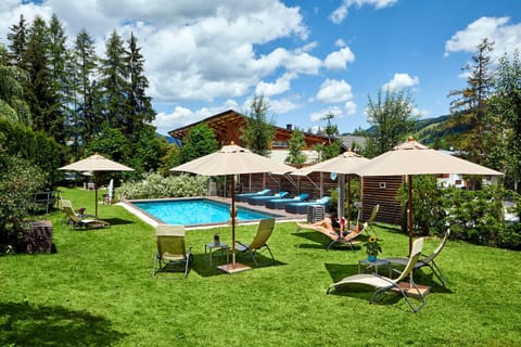 Garden, Pool view, Swimming pool