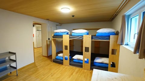 Bedroom, bunk bed