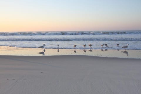 Shangri-La Maison in Folly Beach