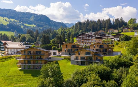 Panorama Lodge Premium Apartments Apartamento in Schladming