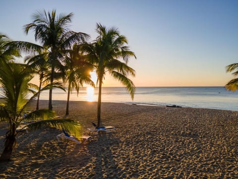 Natural landscape, Beach, Sunset