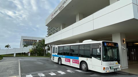 Southern Beach Hotel & Resort Resort in Okinawa Prefecture