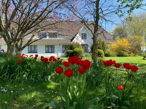 Facade/entrance, Garden