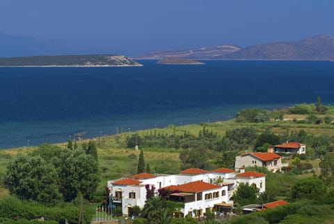 Natural landscape, Beach, On site