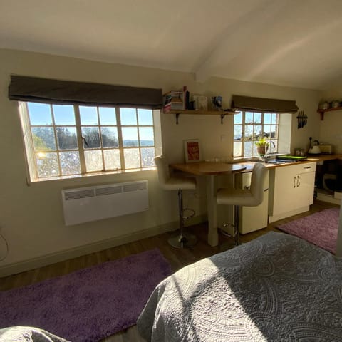 Kitchen or kitchenette, Seating area, Dining area