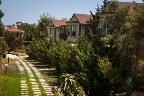 Property building, Day, Garden