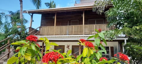 Amanda's Place Casa Amancer - sea view, pool and tropical garden Maison in Belize District