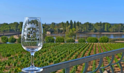 Gîte des Chaumiennes House in Centre-Val de Loire