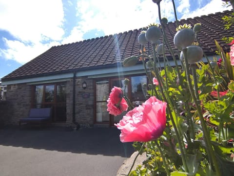 Tyncellar Farm holiday cottages Haus in Wales