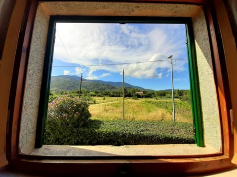 View (from property/room)