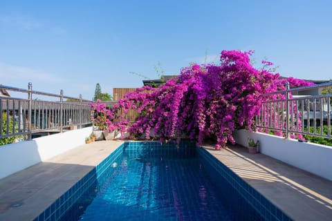 Mammoth Art Studio Pool villa in old city Villa in Chiang Mai