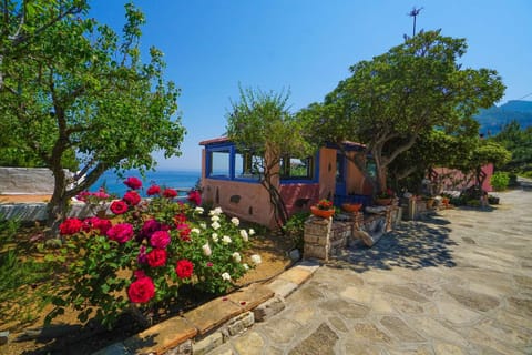 Ocea Retreat Appart-hôtel in Samos Prefecture