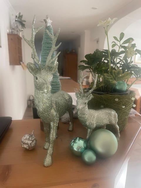 Gästehaus Baier am Bad Apartment in Tegernsee