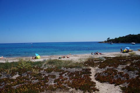 Vue mer Corse Copropriété in Sari-Solenzara