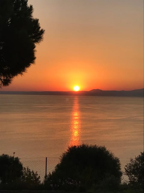 Natural landscape, Summer, View (from property/room), Sunrise