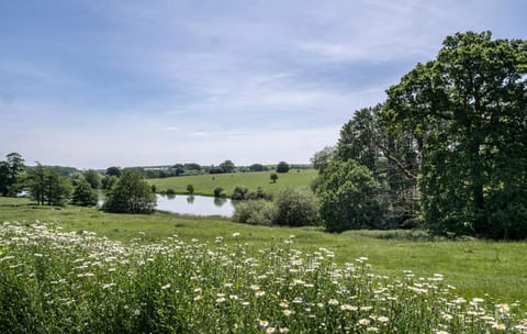 Natural landscape, Garden, Hiking