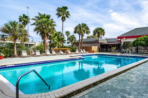 On site, Pool view, Swimming pool