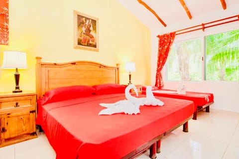 Executive Budget Room With Swimming Pool Air Conditioning and Parking Bed and Breakfast in Playa del Carmen