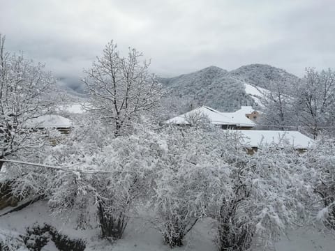 Natural landscape, Winter, Mountain view