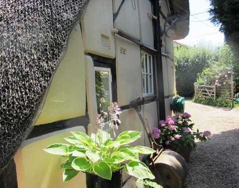 Property building, Inner courtyard view