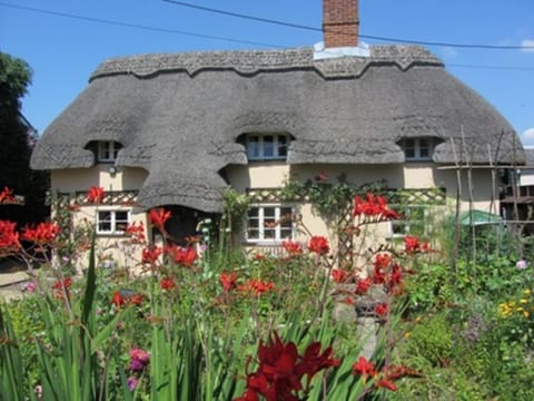 Property building, On site