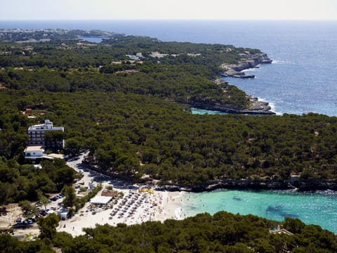 Bird's eye view, Other, Swimming pool, Swimming pool