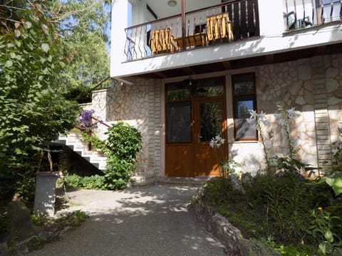 Complex Amazon Bed and Breakfast in Dobrich Province, Bulgaria