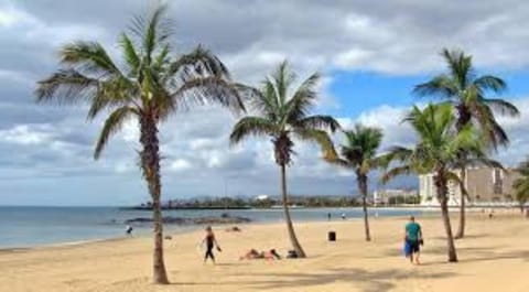 Piso Arrecife Centro A Copropriété in Arrecife