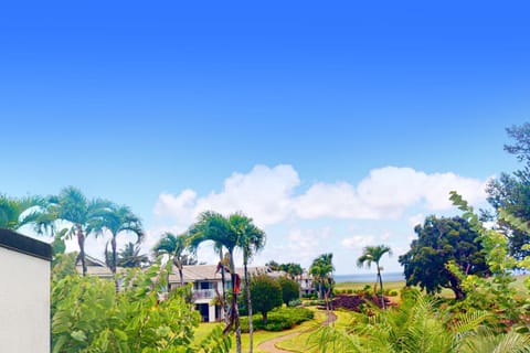 Emmalani Hideaway #223 Apartment in Princeville