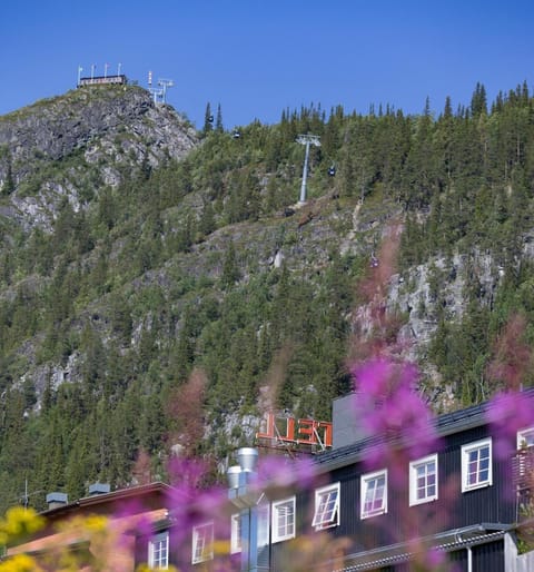 Nearby landmark, Neighbourhood, Natural landscape, Hiking, Mountain view