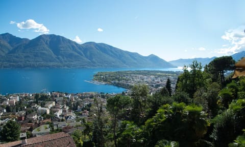 Residenza Paradiso App 1000 Apartment in Locarno