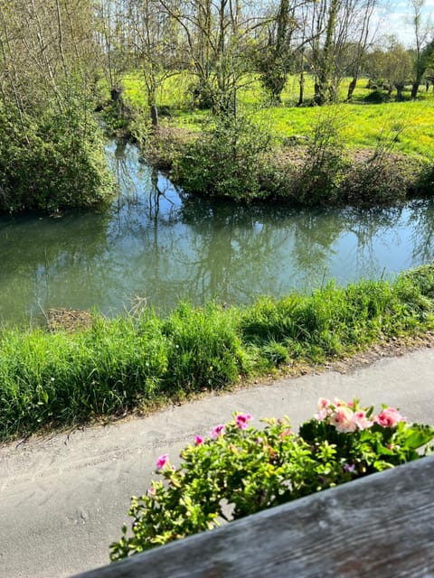 Spring, Natural landscape, River view