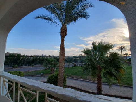 Continental Plaza Beach Resort Resort in Sharm El-Sheikh