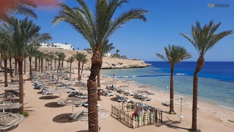 Continental Plaza Beach Resort Resort in Sharm El-Sheikh
