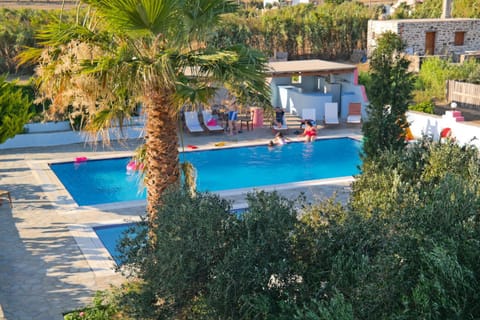 Day, Pool view, Swimming pool, Swimming pool, sunbed