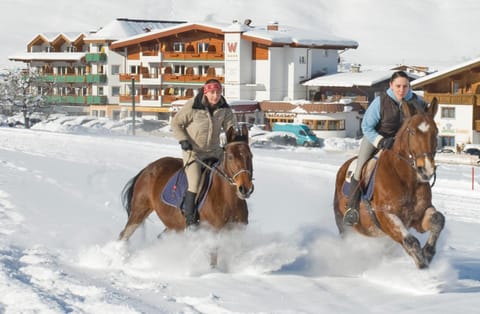 Spring, Winter, Horse-riding