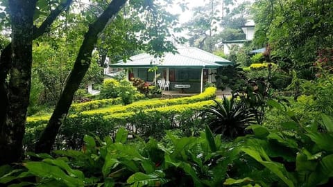 Jabbitos Baguio Transient House 2 Bed and Breakfast in Baguio