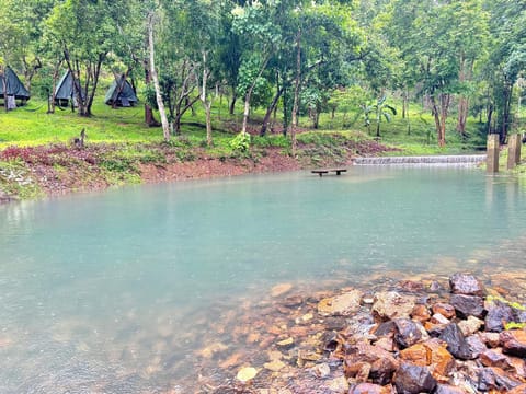 Mount Avangan Eco Adventure Park Campground/ 
RV Resort in Coron