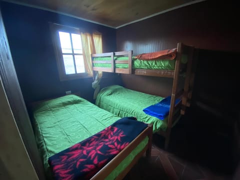 Bed, Photo of the whole room, bunk bed