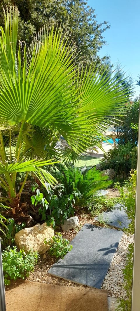 Natural landscape, Garden view, Pool view