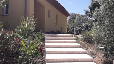 Property building, Day, Garden view