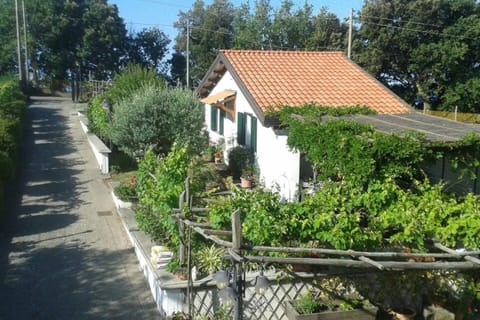 Property building, Facade/entrance, Bird's eye view, Garden view