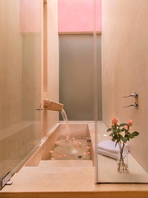 Rosas & Xocolate Boutique Hotel and Spa Merida, a Member of Design Hotels Hotel in Merida