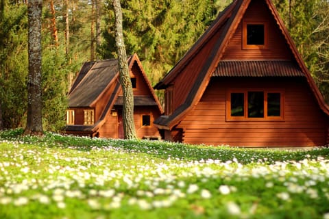 Property building, Spring, Day, Garden